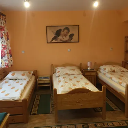 Nad Lesniowka Homestay *