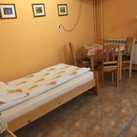 Nad Lesniowka Homestay